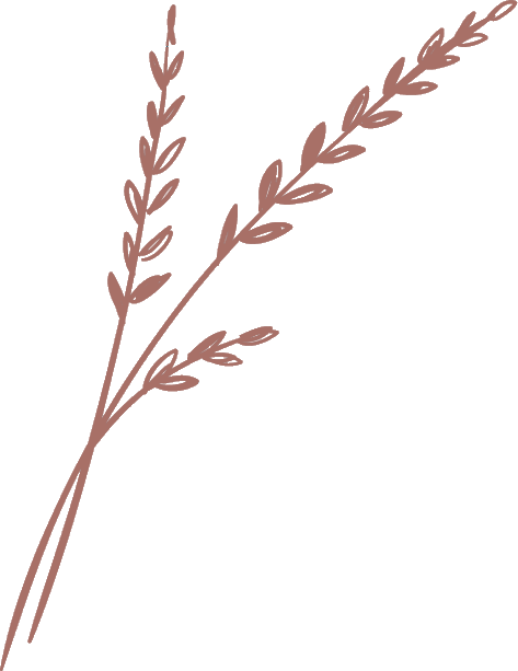 Ãpi de blÃ©